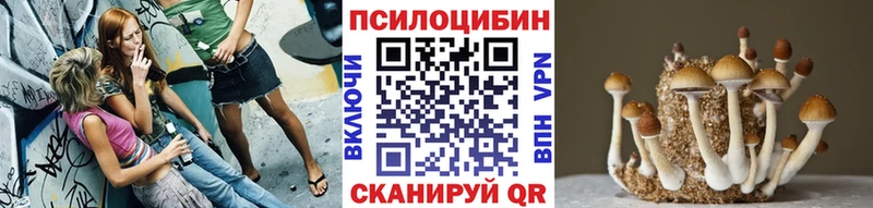 это клад  что такое наркотик  Назрань  Галлюциногенные грибы мухоморы 