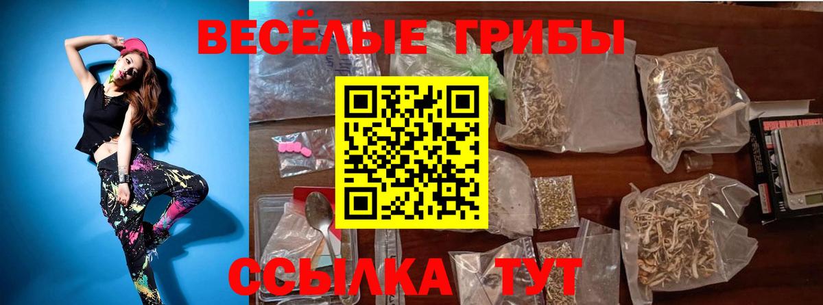 Назрань  Псилоцибиновые грибы ЛСД  Вход с VPN  Галлюциногенные грибы Psilocybine cubensis 