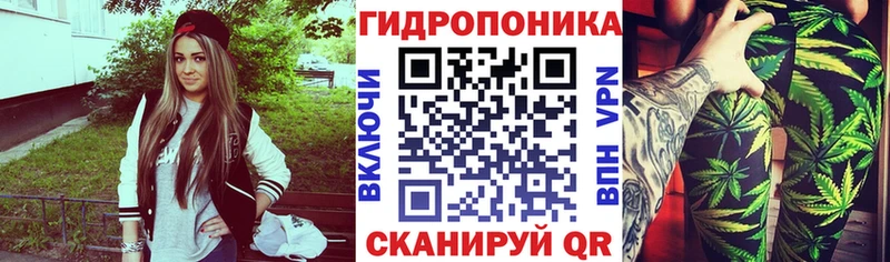 Шишки марихуана AK-47  мориарти какой сайт  Назрань 